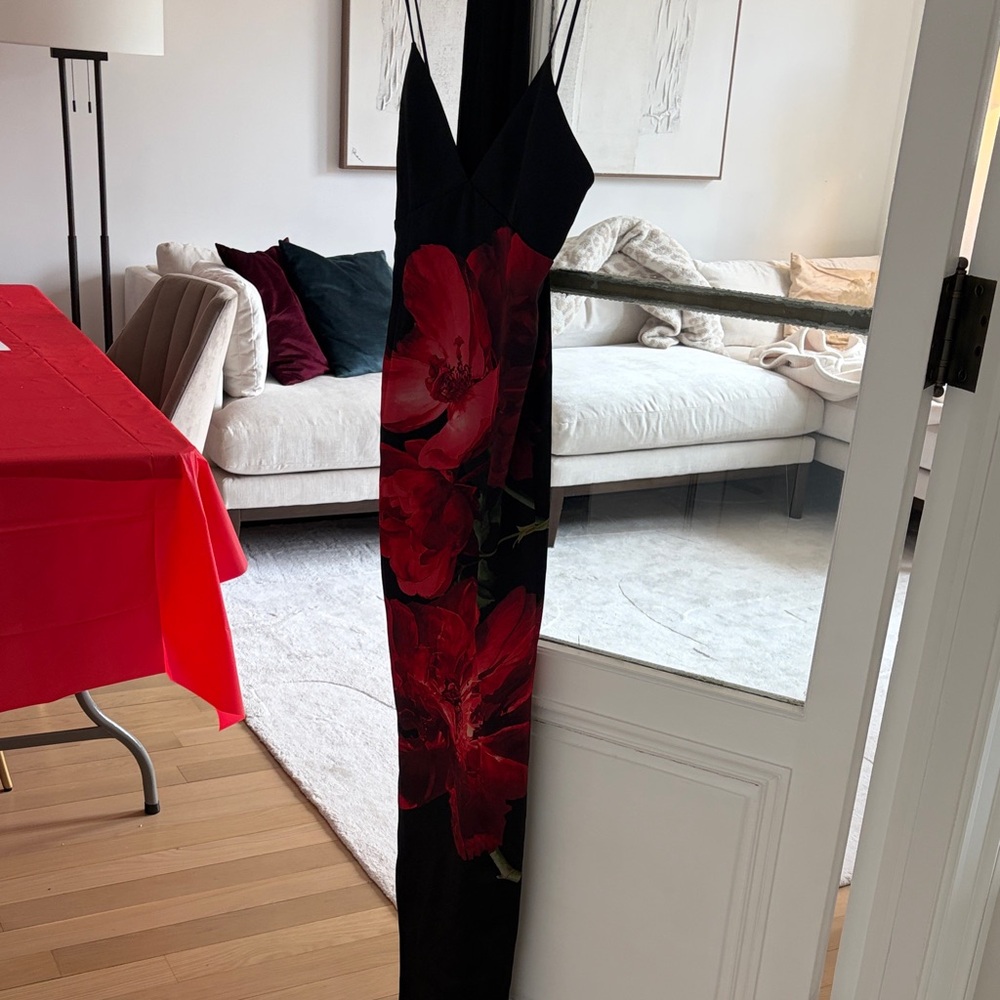 Alice + Olivia Black and Red Floral Dress
